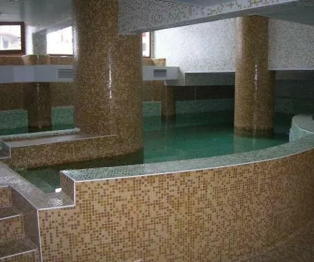 Gogi Spa+pool * Pamporovo